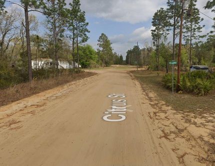 Undeveloped Land in Putnam County, Florida