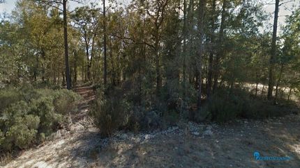 Farm and Ranch in Putnam County, Florida