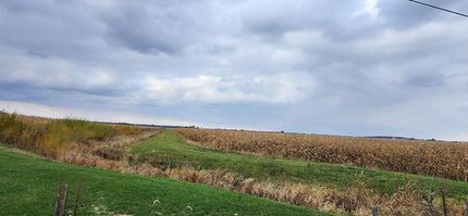 Timberland Property in Rush County, Indiana