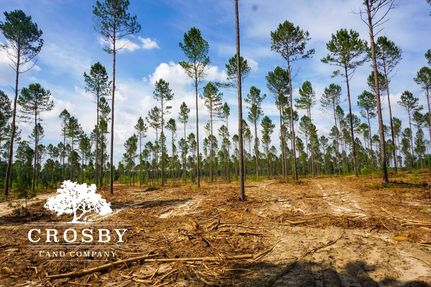 Farm and Ranch in Barnwell County, South Carolina
