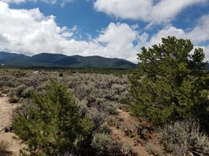 Undeveloped Land in Costilla County, Colorado