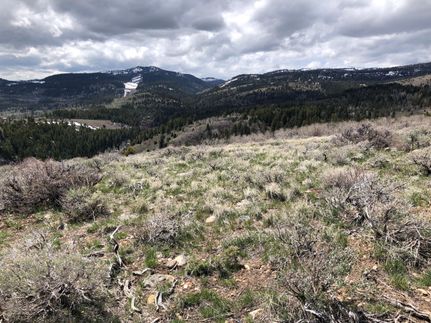 Farm and Ranch in Bear Lake County, Idaho