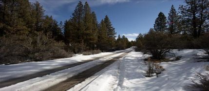 Timberland Property in Klamath County, Oregon