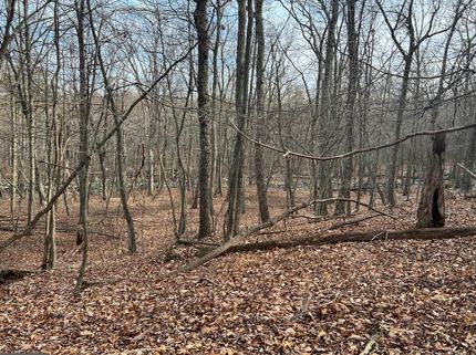 Hunting Property in Morgan County, West Virginia