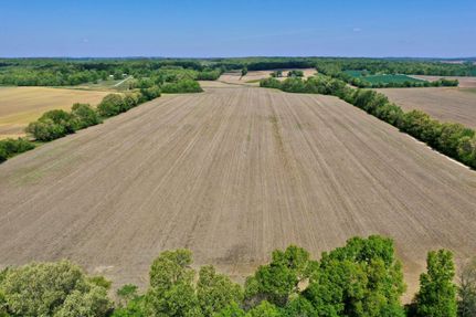 Timberland Property in Hopkins County, Kentucky