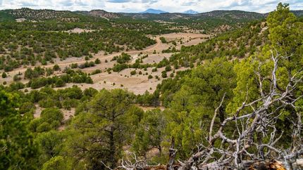Farm and Ranch in Las Animas County, Colorado