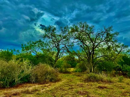 Farm and Ranch in Bee County, Texas