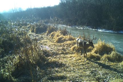 Timberland Property in Jackson County, Michigan