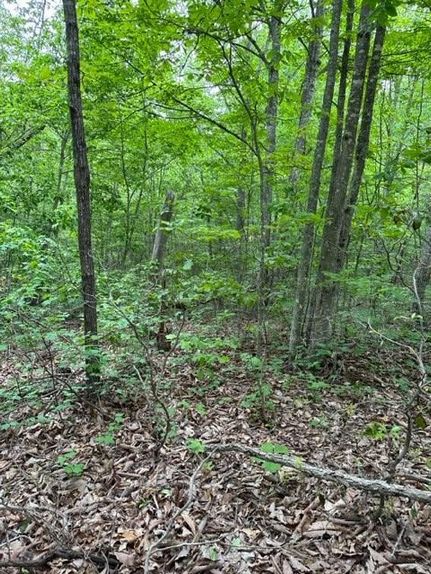 Land for sale in Fentress County, Tennessee