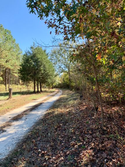 Farm and Ranch in Oglethorpe County, Georgia
