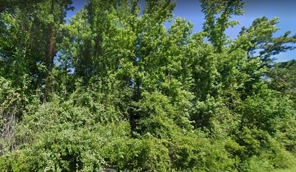 Hunting Property in Jackson County, Florida