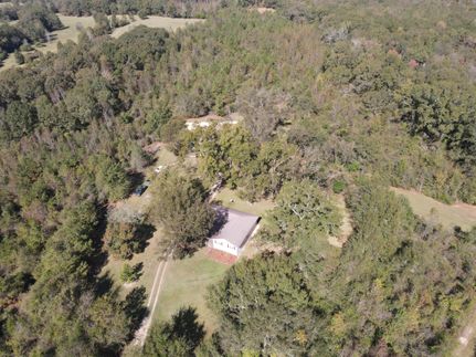Undeveloped Land in Crenshaw County, Alabama