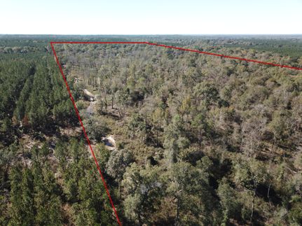 Farm and Ranch in Angelina County, Texas