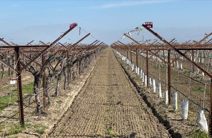 Undeveloped Land in Kern County, California