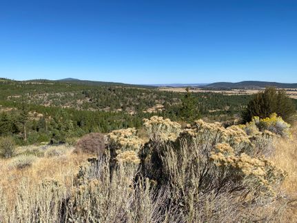 Undeveloped Land in Modoc County, California