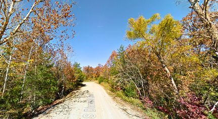 Undeveloped Land in Izard County, Arkansas