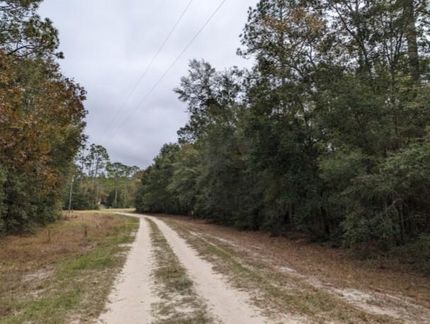 Farm and Ranch in Suwannee County, Florida