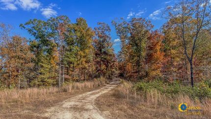 Timberland Property in Hickman County, Tennessee