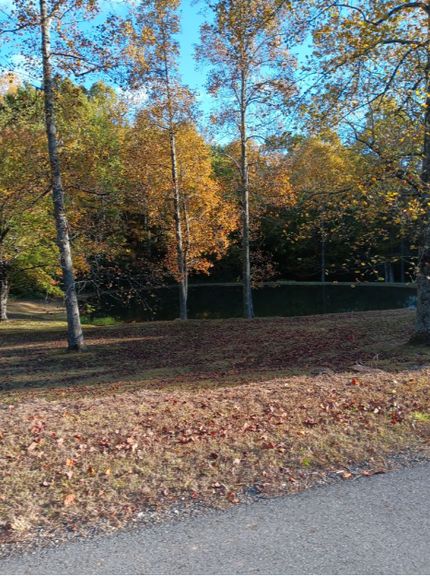Undeveloped Land in Cherokee County, North Carolina