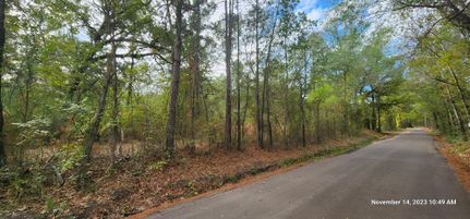 Undeveloped Land for sale in Angelina County, Texas