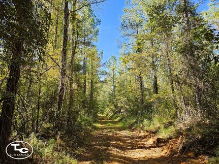 Recreational Property in Wilcox County, Alabama