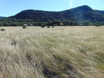 Land for sale in Real County, Texas