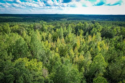 Land in York County, South Carolina