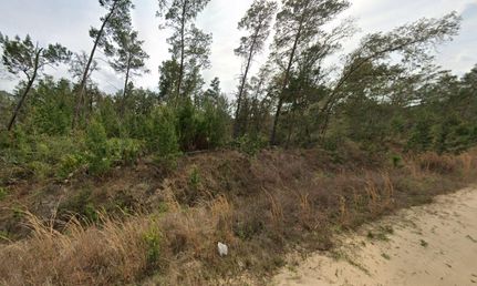 Hunting Property in Putnam County, Florida