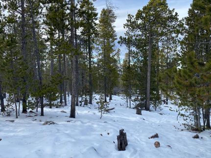 Land in Silver Bow County, Montana