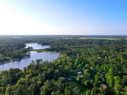 Undeveloped Land in Tyler County, Texas