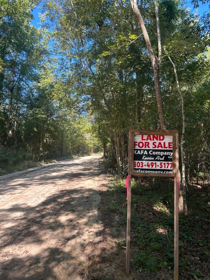 Undeveloped Land in Clarendon County, South Carolina