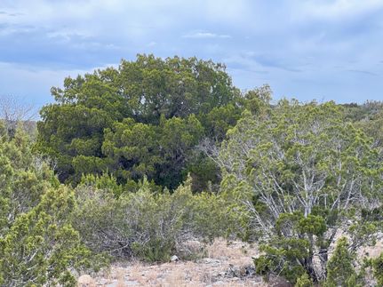 Hunting Property in Crockett County, Texas