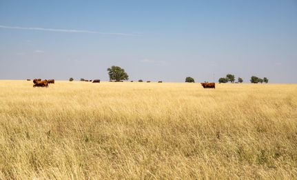Recreational Property in Swisher County, Texas