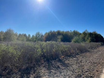 Land in Richland Parish, Louisiana