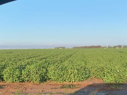 Timberland Property in Lubbock County, Texas