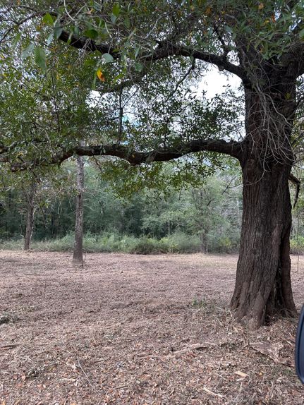 Riverfront Property in Mobile County, Alabama