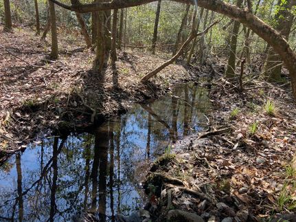 Farm and Ranch in Mobile County, Alabama