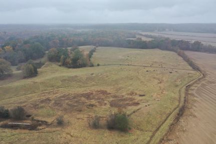 Timberland Property in Tate County, Mississippi