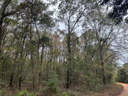 Recreational Property in Clarke County, Alabama