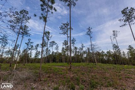 Land in Baldwin County, Alabama