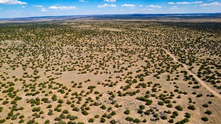 Undeveloped Land in Apache County, Arizona