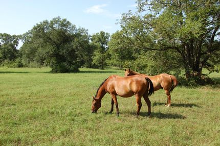 Farm and Ranch in Coal County, Oklahoma