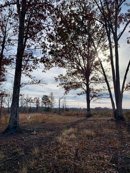 Farm and Ranch in Madison County, Georgia