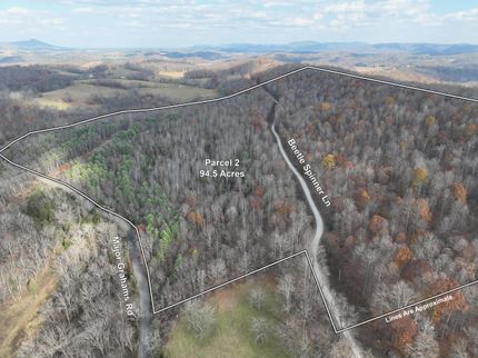 Undeveloped Land in Wythe County, Virginia