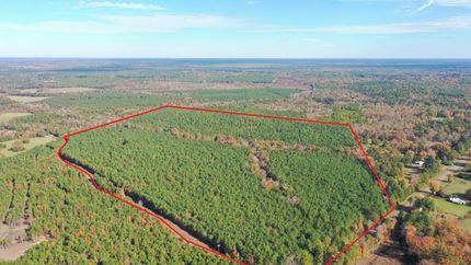 Timberland Property in Cass County, Texas