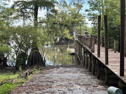 Farm and Ranch in Gulf County, Florida