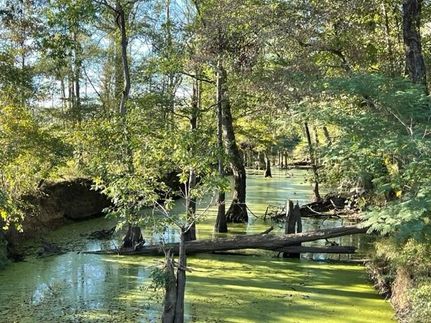 Recreational Property in Rankin County, Mississippi