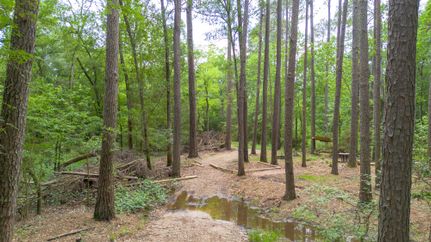 Undeveloped Land in Montgomery County, Texas