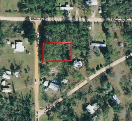 Timberland Property in Seminole County, Georgia