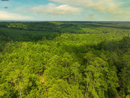 Undeveloped Land in Wilkinson County, Georgia